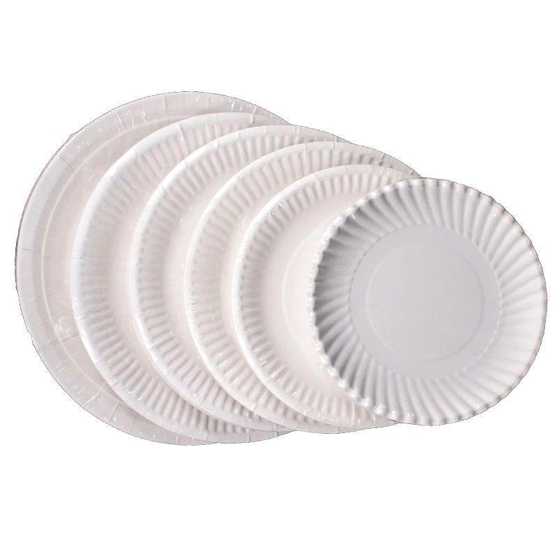 Hand-Painted DIY White Paper Plates for Kindergarten Arts & Crafts