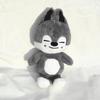 50cm SKZOO Idol Stray Plush Hug Pillow Doll Fans Gift Teddy Style Plush Toy Seoul Fm Week Cloak Doll Magic School For Kids Gift