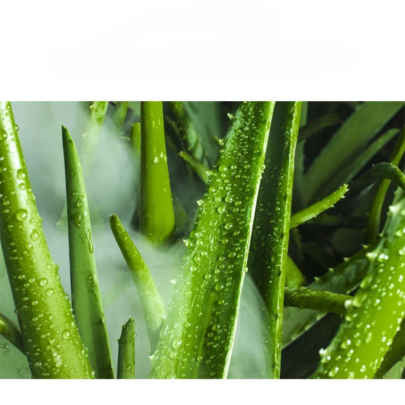 Aloe Vera Water-based Lubricant 180ml Sex Oil for Adult Pleasure, Intimate Hydrating Gel