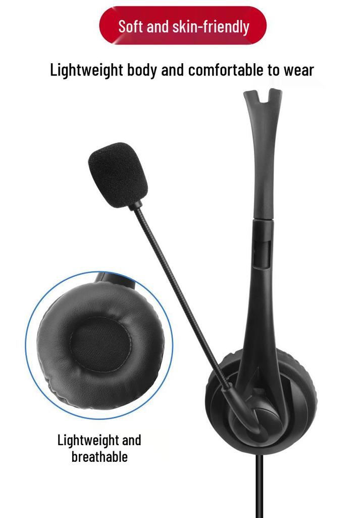 In-Stock Wired Over-Ear Headphones with Microphone and USB Type-C Adapter