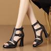 Women Roma Sandals Straps Straps Flats Sandals for Womens Platform Breathable Sandal Colorful Wedge Women Sandals