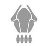 For CFMOTO 250SR 2022 Racing Version Headlights Tail Light Film Instrument Film Protective Film Modified Accessories