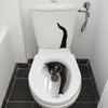 1 ks Zlobivá malá kočka WC Samolepky na zeď Koupelnová dekorace Samolepky na zeď Samolepicí