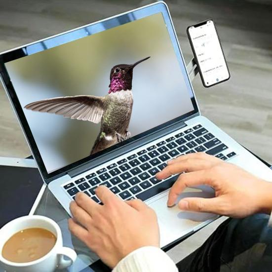 Boční držák telefonu na notebook Magnetický nastavitelný stojan na telefon Skládací držák monitoru pro stolní monitor