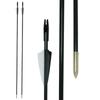 Fiberglass Archery Practice Arrows (6mm)