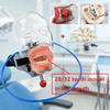 Model Capian Phantom Dentar Cu 28/32 Dinți de Rezervă Simulator Stomatologic Echipament Typodont Pentru Predarea Studierii Medicilor Dentisti Fierbinte