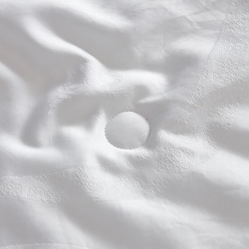 Mengjie Tussah Silk Blend All-Season Quilt