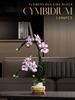 Oncidium Eternal Flower Model Building Blocks,Botanical Collection,Moc Classic Home Desktop Decoration Toys For Girls Kids Gifts