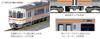 KATO N Gauge 313 Series 5000 Special Rapid Service Basic Set, 3 Cars, 10-1379 Model Train