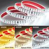 SMD 2835 LED Strip 12MM Width 240LEDs/M AC220V Flexible Cuttable Soft Lamp IP68 Waterproof Warm/Neutral/White Light With EU Plug