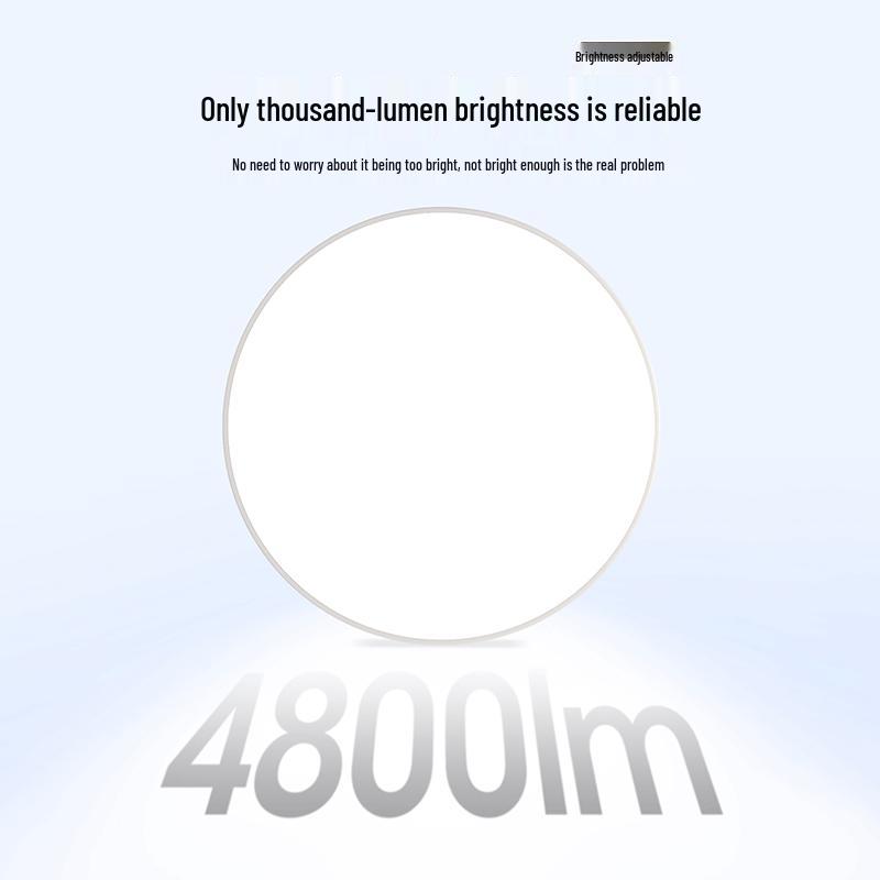 WLXY 24W Black LED Ceiling Light