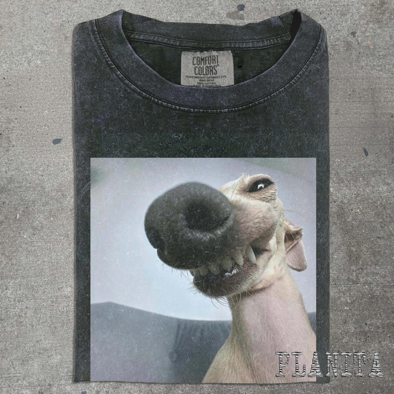 Goofy Donkey Face T-shirt | Funny Animal Portrait, Grey Tee S