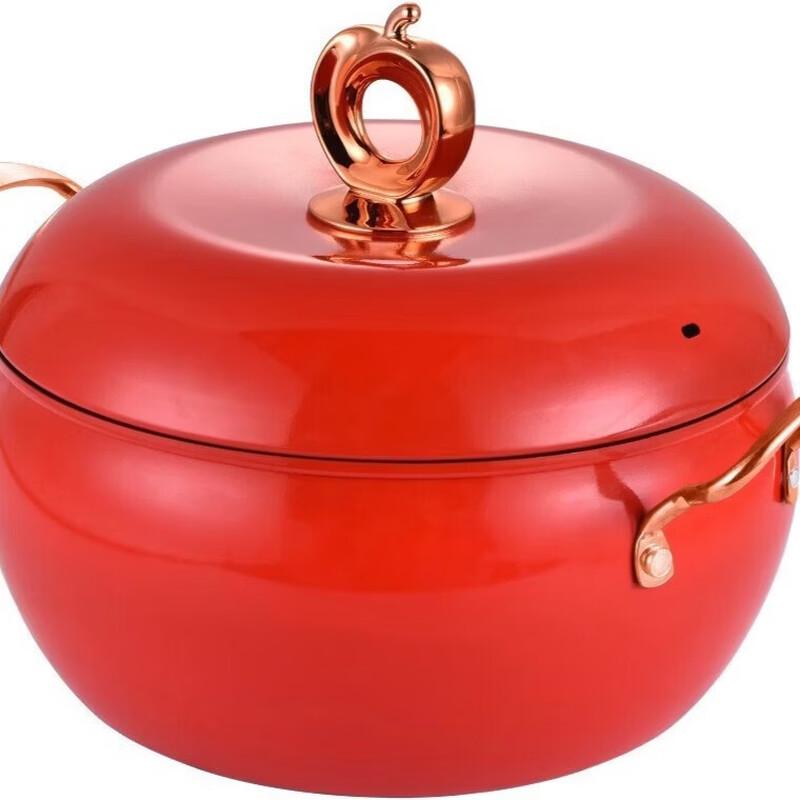 ZISIZ Double-Handled Stew Pot