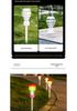 Waterproof LED Outdoor Solar Lawn and Garden Stake Light