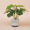 Mini Monstera em Vaso Boneca Mansão Planta 1:Modelo de Planta Monstera Miniatura em Escala 6 para Decoração de Sala de Estar e Quarto de Bonecas