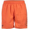 Arena Mens Board Shorts