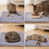 Productos para mascotas – Alfombras para mascotas
