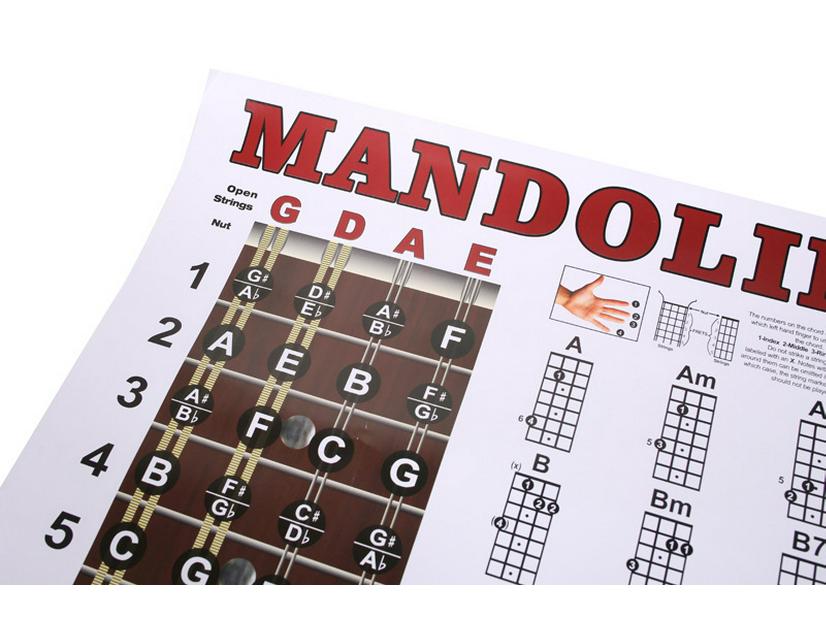 Mandolin Chord and Fingering Practice Chart
