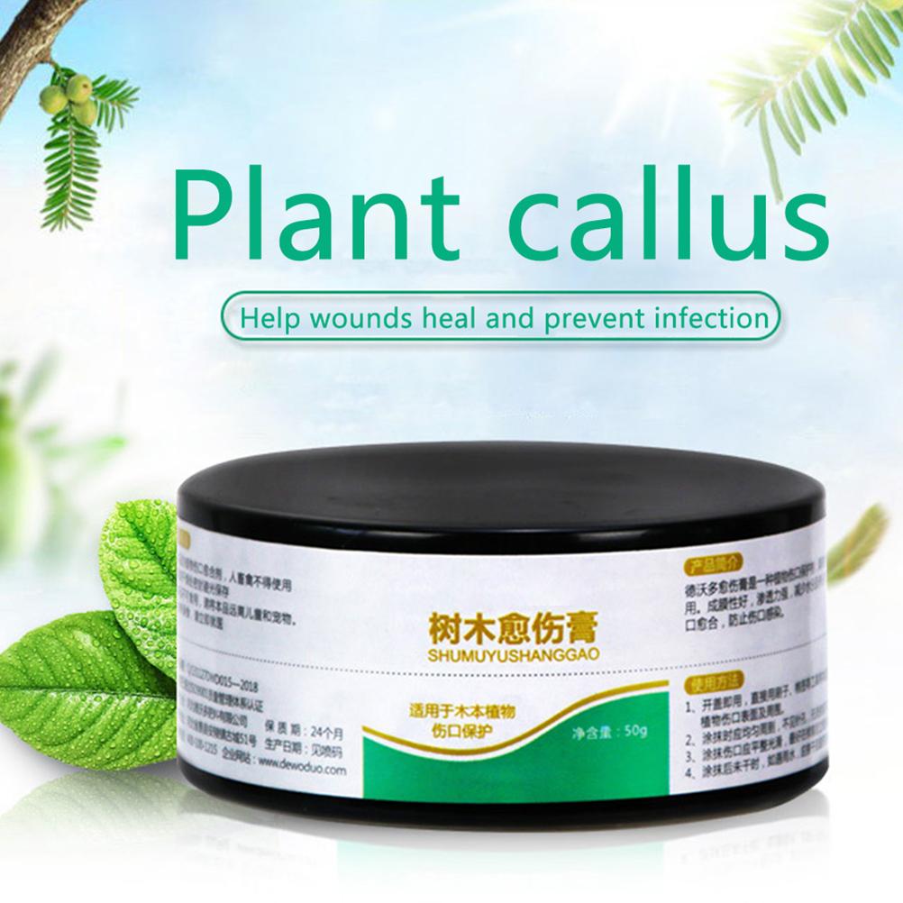 50g Pflanzenheilmittel Versiegelung Bonsai Wundheilmittel Baumschnitt Paste
