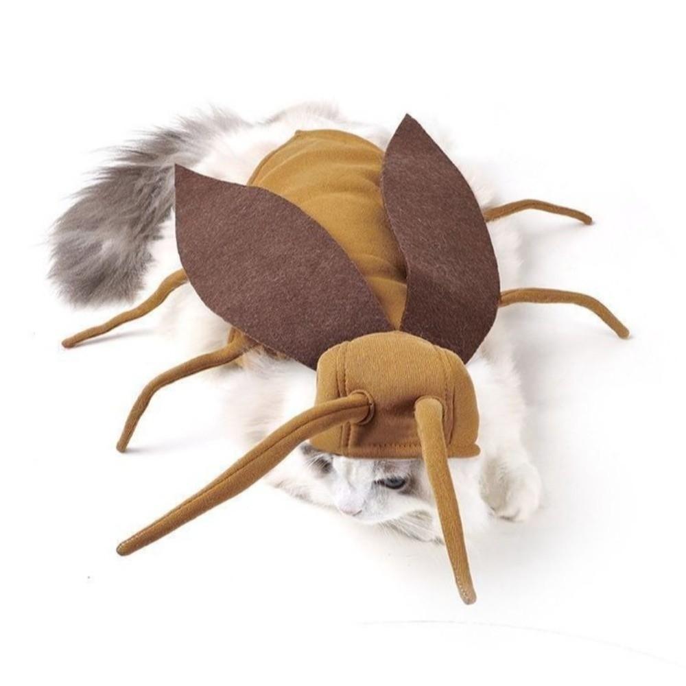 Realistic Pet Transformation Costumes with Wing Costume Pranks Outfit Small Dogs