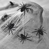Realistic Spider Halloween Christmas Decoration Mini Spider Realistic Scary Spider Prank Halloween Haunted House Decorations