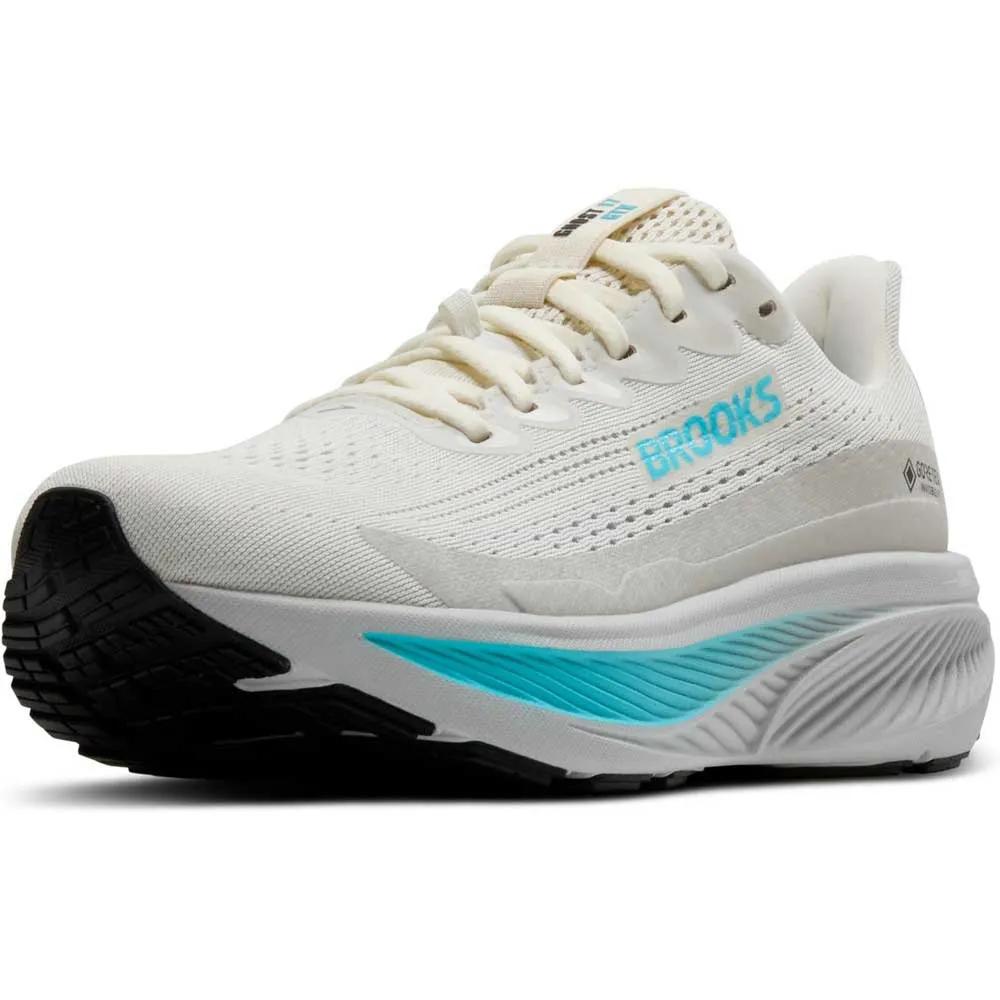 Brooks Running Shoes Ghost 17 Goretex