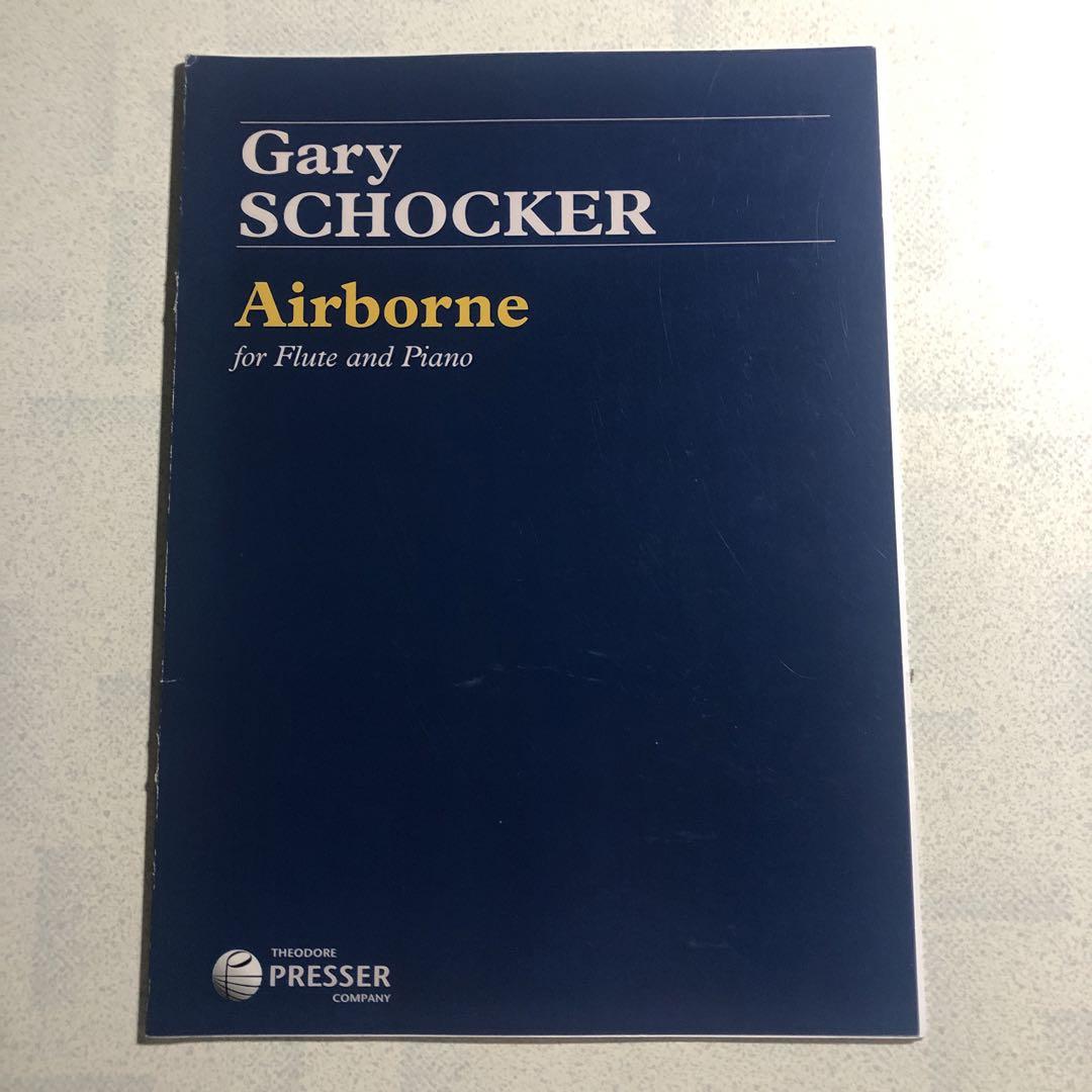 

[USED] Gary SCHICKER Airborne Flute Piano