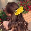 Korean High-End Acrylic Flower Hair Clip for Women - Large Shark Clip for Voluminous Styles