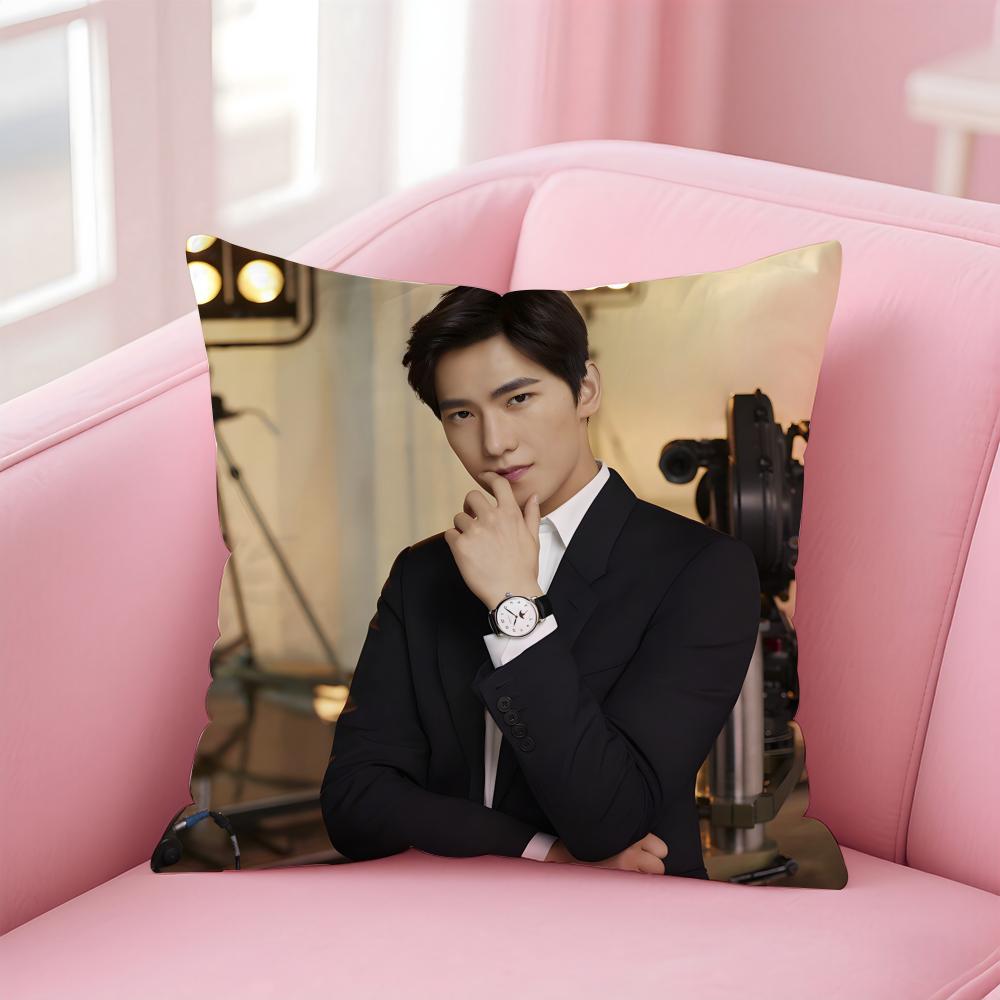 actor handsome YYang Yang Cushion Cover Pillow Case Soft Skin Friendly Fabric  Concealed Zipper