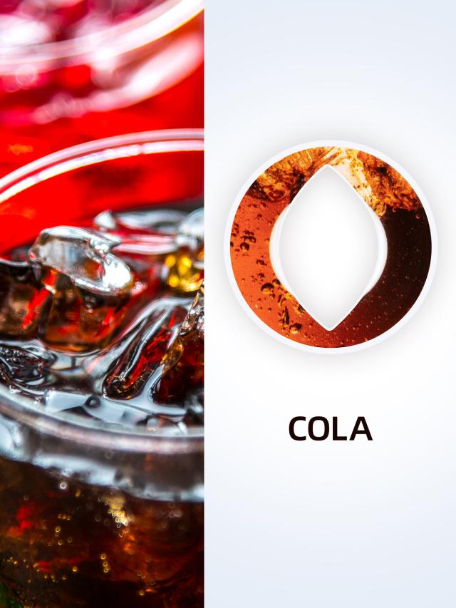 

1 шт. Овальный фруктовый напиток ароматизатор стручок креативный 0 сахара 0 калорий ароматизатор кольцо для пластиковых бутылок с водой спортивные стаканы для воды аксессуары