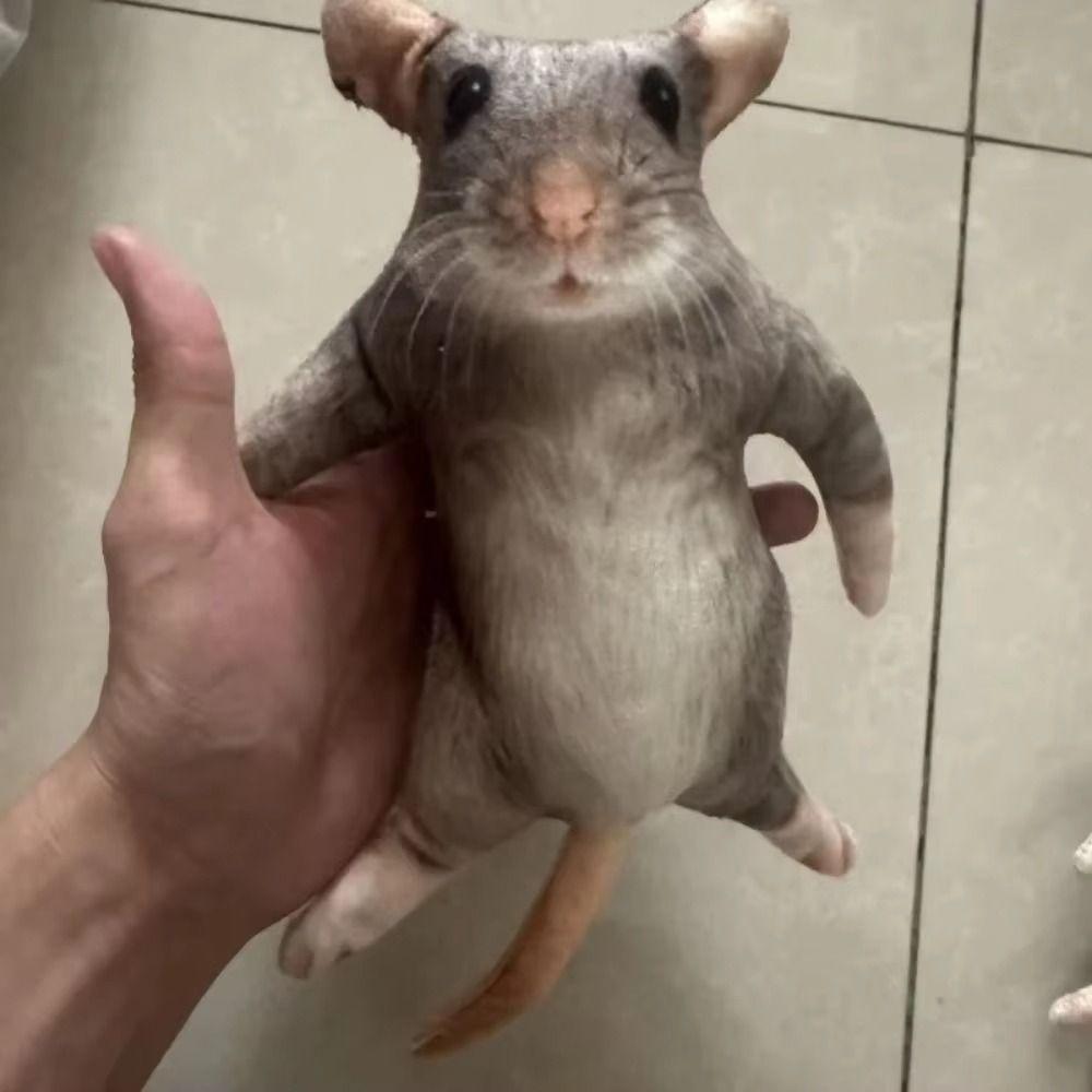 Built in Skeleton Mouse Doll Animal Figure Funny Mouse Toy Creative Plush Rat Children