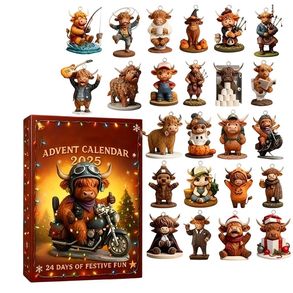 2D Plane+airplane Box +24PC+ Fitness Decoration Advent Christmas Countdown Box Calendar