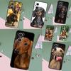 Dackel Hunde Hülle Für OPPO Reno 15 Pro 15F 10 11 12 13 13F 14 14F 8 7 Lite 8T OPPO Find X9 X8 X6 Pro Abdeckung