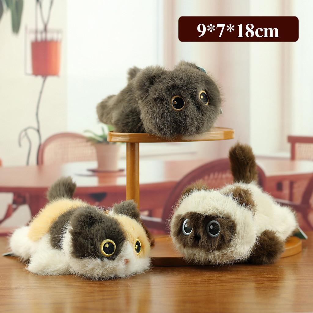Multi Love Siamese Cat Plush Toy With Pp Cotton Filling For Kids Gift And Collection