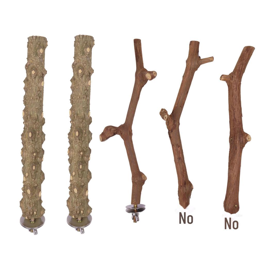 Parrot Wood Perch and Claw Grinding Toy