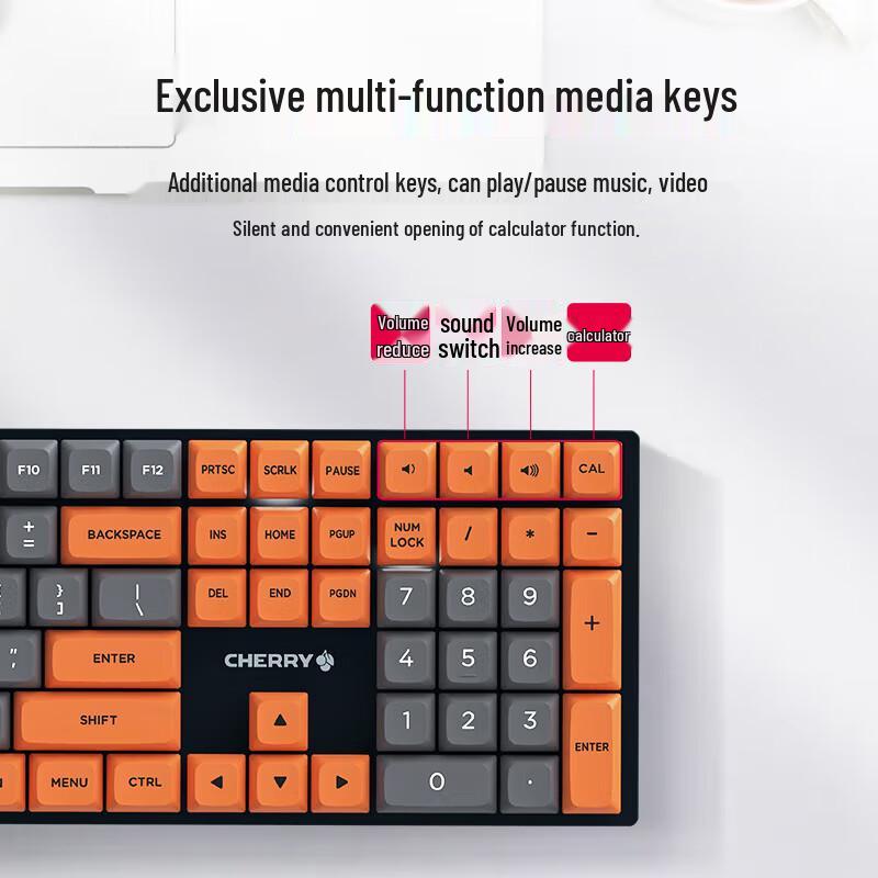 

CHERRY G80-3950 Mechanical Keyboard