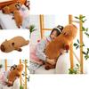 Soft Short Plush Capybara Cuddle Pillow Ideal For Sleepovers And Bedroom Decor 50cm And 90cm Sizes