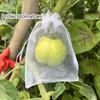 50Pcs Grapes Fruit Protection Bags Pest Control Anti-Bird Mesh Garden Netting Bags Agricultural Tree Garden Tool Bags