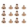 20 Sets Book Binding Screws Curved Chicago Screws Assorted Kit for DIY Leather Craft Belt Bag Shoes Purse 8 X 5mm 8 X