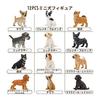 TOYMANY 12PCS Dog Figure Set Mini Animal Figure Dog Model Realistic Animal Model Realistic Animal Model Mini Model Popular Animal Toy Toy Birthday