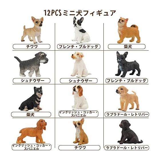 TOYMANY 12PCS Dog Figure Set Mini Animal Figure Dog Model Realistic Animal Model Realistic Animal Model Mini Model Popular Animal Toy Toy Birthday