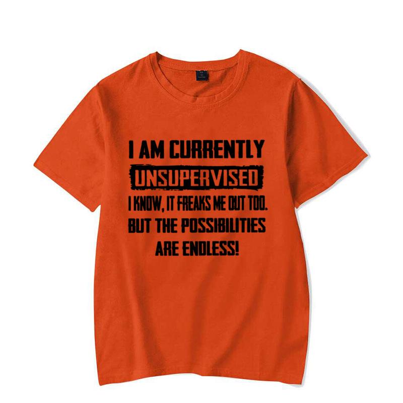 Pánská vtipná trička Jsem momentálně bez dozoru tričko Hilarózní vtipný nápis Dárek pro něj Narozeniny Pánské vtipné tričko Topy
