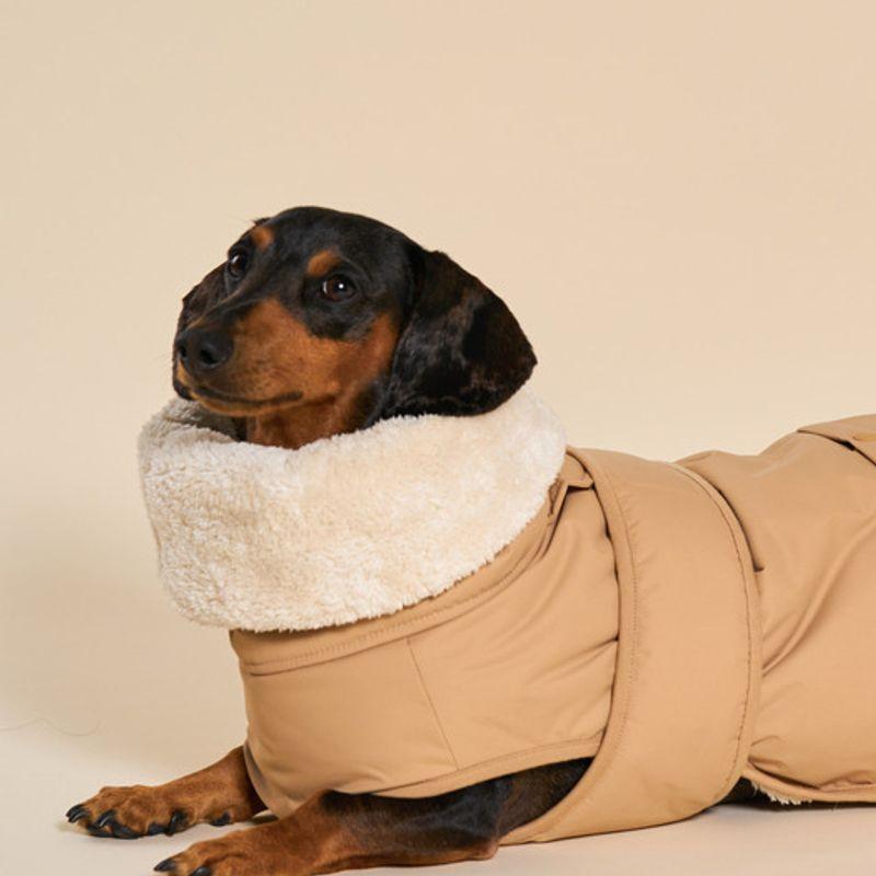 ANGEL DOG Hund Tatted Tech Welpe Polsterung Beige