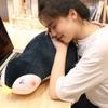 Mate Toy Sofa Pillows Accompany Toy Penguin Plush Doll Penguin Plush Toy Penguin Stuffed Doll