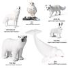 Cross-Border Children's Cognitive Amphibian & Reptile Tortoise Model Fish Tank Ornament Toy