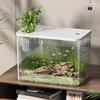 Clear Plastic FishTank With Secure Lid and Water Plant Holder For Goldfish Home Desktop Decoration Aquarium Tanks
