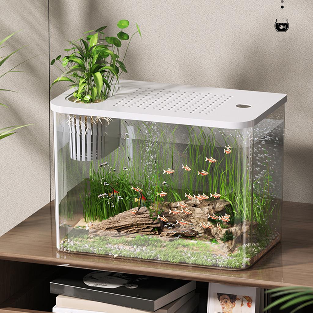 Clear Plastic FishTank With Secure Lid and Water Plant Holder For Goldfish Home Desktop Decoration Aquarium Tanks