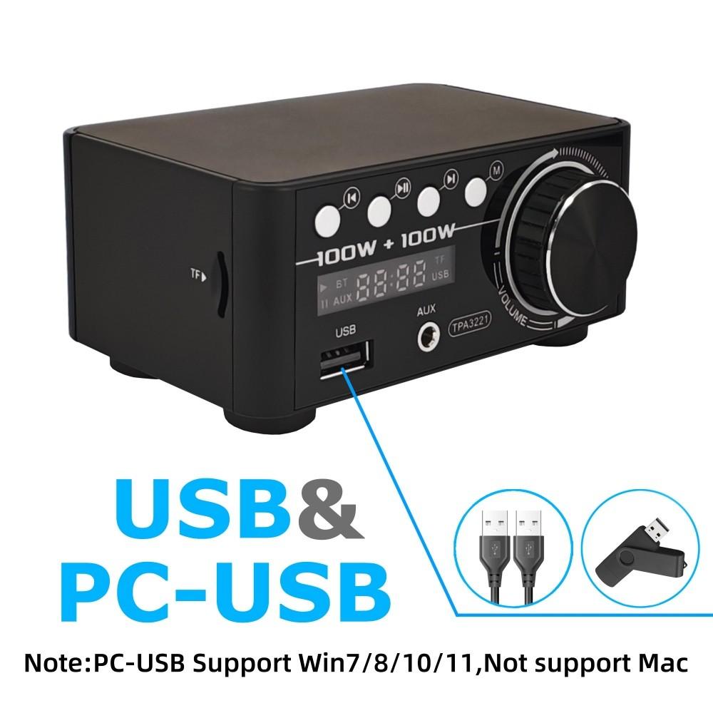 Bluetooth 5.3 TPA3221 Class D Power Mini Amplifier 2.0 Digital Amplifier 100Wx2 200W Home Audio System with PC USB