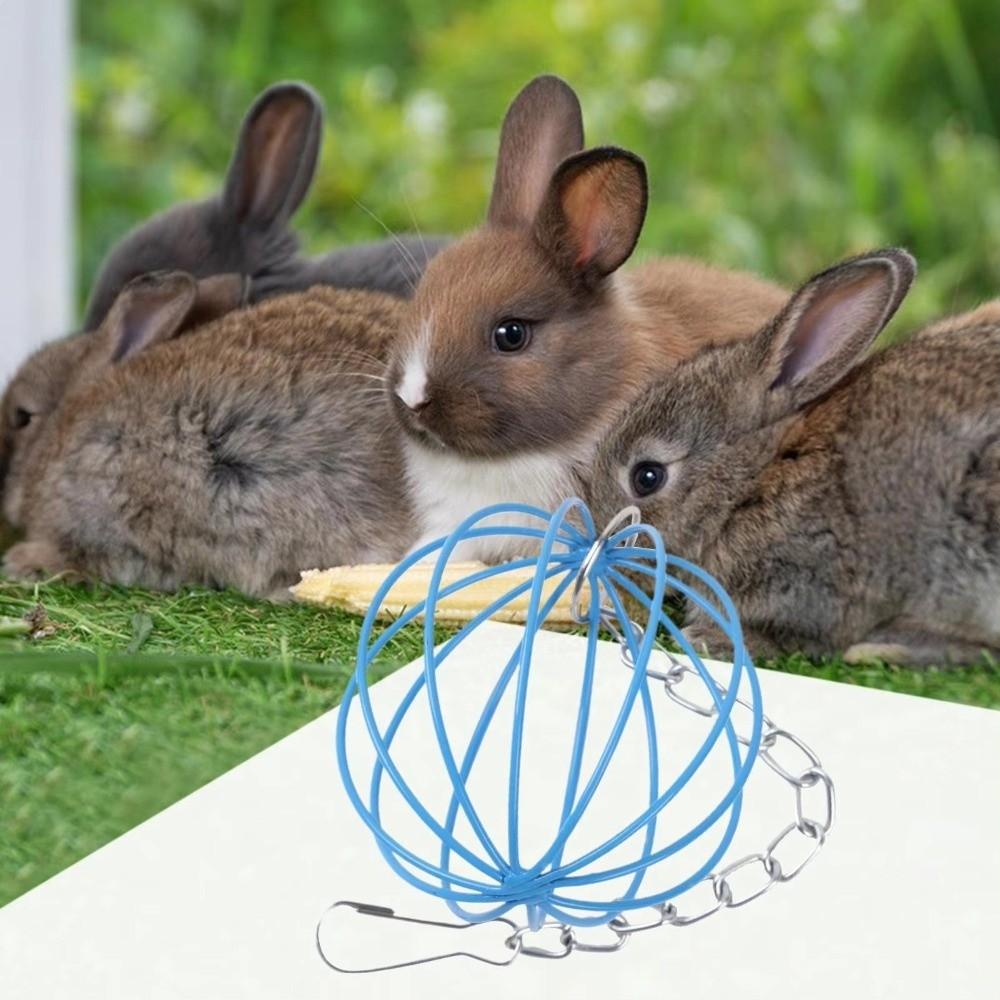 Round Rabbit Grass Feeder Stainless Steel Hay Feeder Ball Hay Holder Hanging Grass Ball Chew Toys
