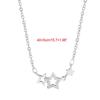 Kov Stříbrná barva Multip Star Zirkonový náhrdelník s přívěskem pro ženy Řetízkový náhrdelník s obojkem Trend Módní šperky Dárek